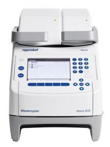 ДНК-амплификатор Eppendorf Mastercycler nexus GX2                    