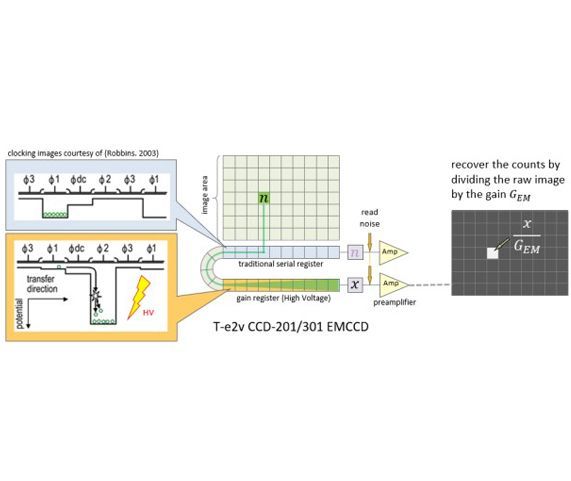 Photon Counting and Precision Photometry for the Roman Space Telescope Coronagraph