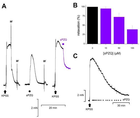 Activation of host transient receptor potential (TRP) channels by praziquantel stereoisomers