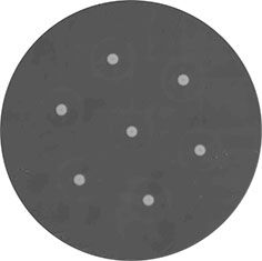 Оптоволокно многосердцевинное FIBERCORE SM-7C1500(6.1/125)