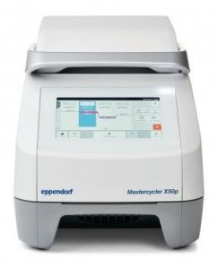 ДНК-амплификатор Eppendorf Mastercycler X50p                                  