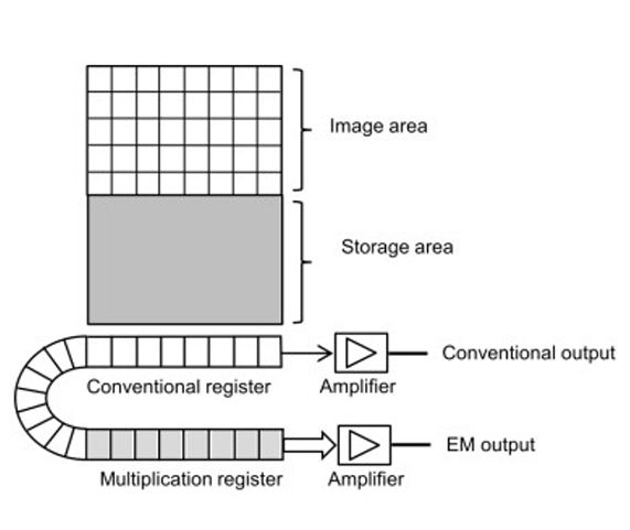 Electron-Multiplying CCDs for Future Space Instruments