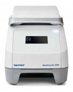 ДНК-амплификатор Eppendorf Mastercycler X50i