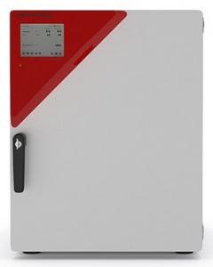 Инкубатор Binder CB 53 (CB053-230V-RU)