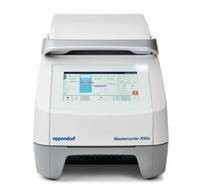 ДНК-амплификатор Eppendorf Mastercycler X50s                                 