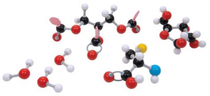 Сборная модель молекулы Organik D 3B Scientific molymod