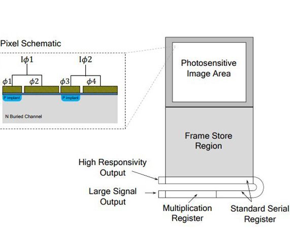 The impact of radiation damage on photon counting with an EMCCD for the WFIRST-AFTA coronagraph