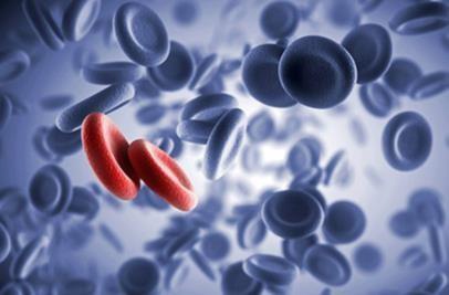 Измерение вязкости цельной крови