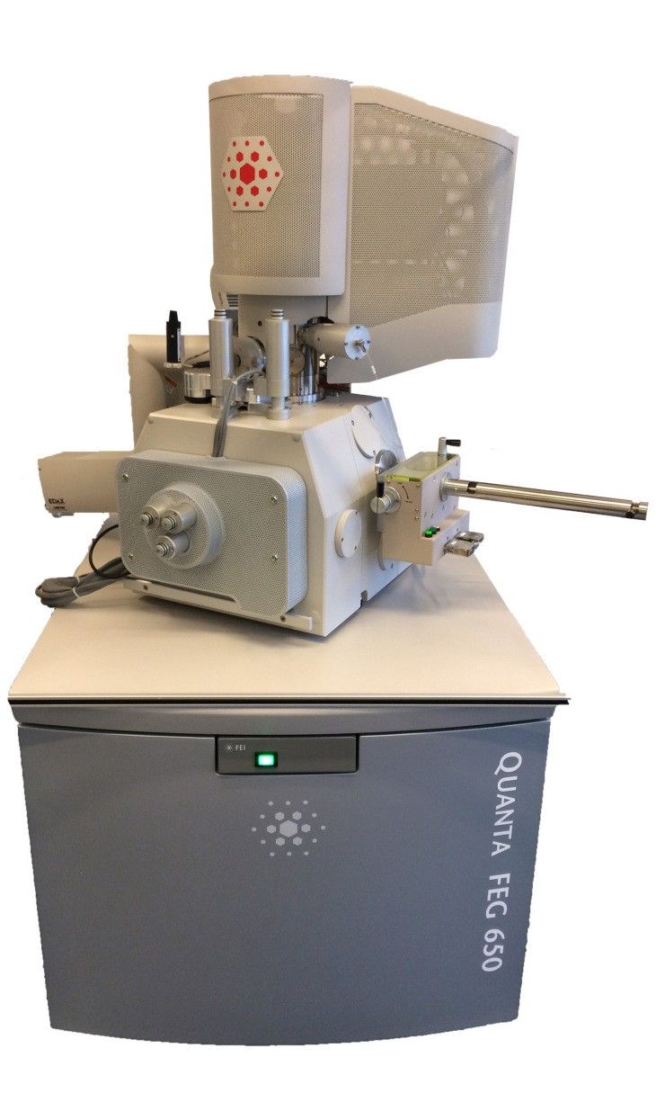 Сканирующий электронный микроскоп FEI MLA 650 FEG