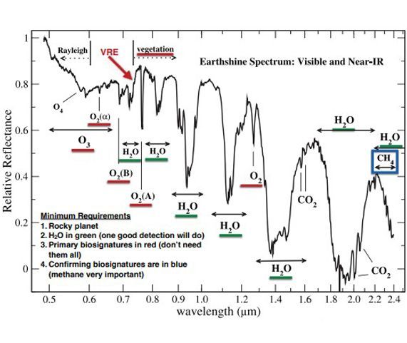 ATLAST detector needs for direct spectroscopic biosignature characterization in the visible and near-IR