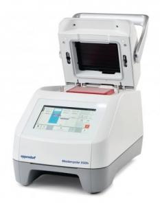 ДНК-амплификатор Eppendorf Mastercycler X50h                                