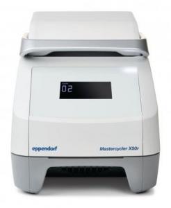 ДНК-амплификатор Eppendorf Mastercycler X50r                             