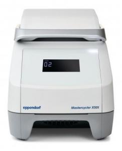 ДНК-амплификатор Eppendorf Mastercycler X50t                                     
