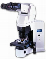 Микроскоп прямой Olympus BX46