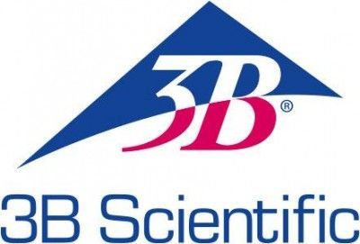 3B Scientific 3B Scientific