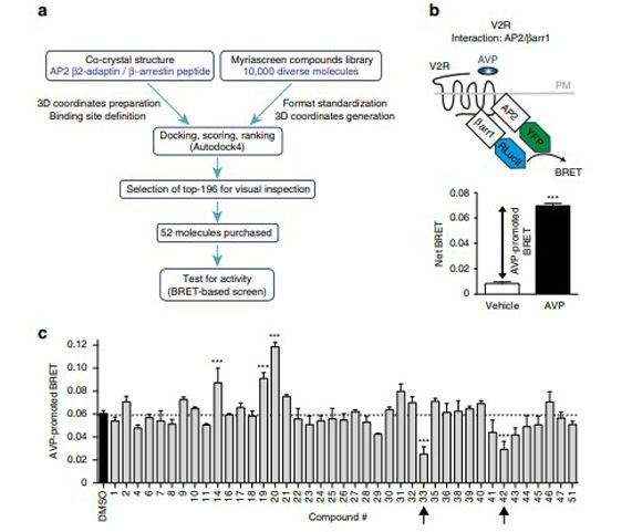 A new inhibitor of the b-arrestin/AP2 endocytic complex reveals interplay between GPCR internalization and signalling