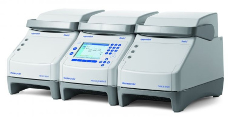 ДНК-амплификатор Eppendorf Mastercycler nexus                         