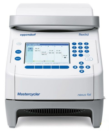 ДНК-амплификатор Eppendorf Mastercycler nexus flat               
