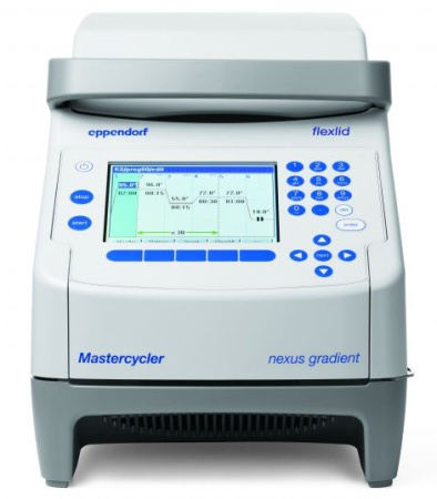ДНК-амплификатор Eppendorf Mastercycler nexus gradient                  