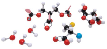 Сборная модель молекулы Organik D 3B Scientific molymod
