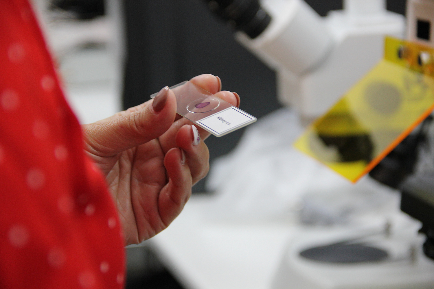 Микроскопы для ХНГИ ИМ. Н.Ф. КАТАНОВА