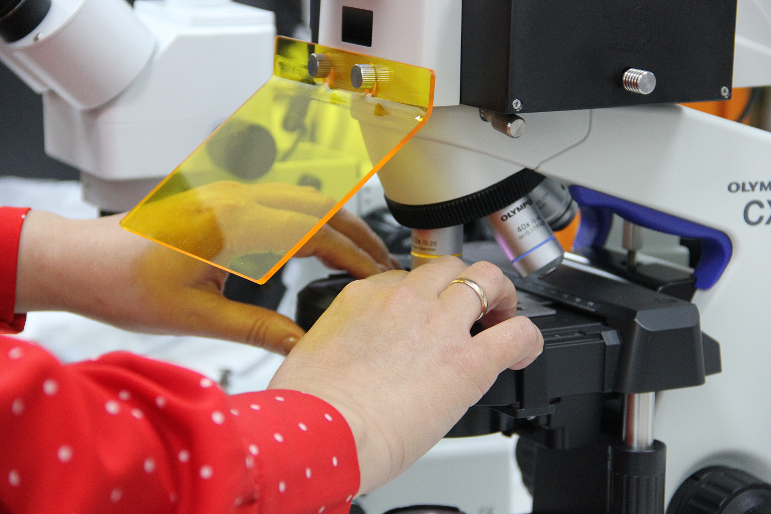 Микроскопы для ХНГИ ИМ. Н.Ф. КАТАНОВА