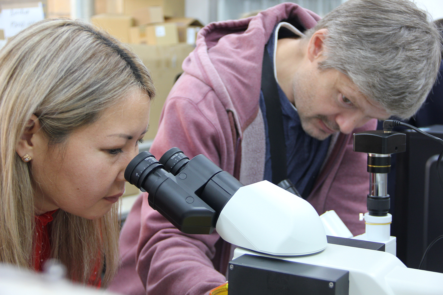 Микроскопы для ХНГИ ИМ. Н.Ф. КАТАНОВА