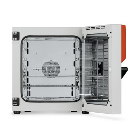 Термостат Binder BF 56 (BF056-230V)